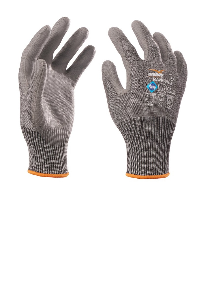 Payper - Safety - RANGER 6