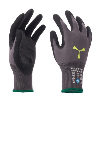 [S00623P126] Payper - None - P/CUT 4-18