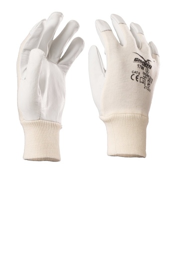 Payper - Safety - 17W